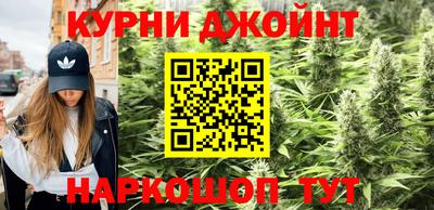 прущие грибы Аргун