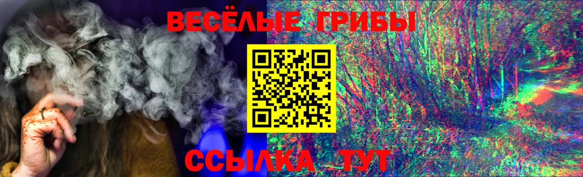 Псилоцибиновые грибы Cubensis Аша