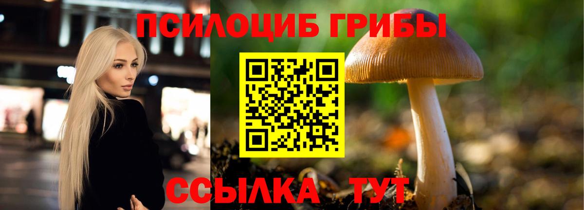 Аша  Галлюциногенные грибы прущие грибы  Вход с VPN  Галлюциногенные грибы мицелий 