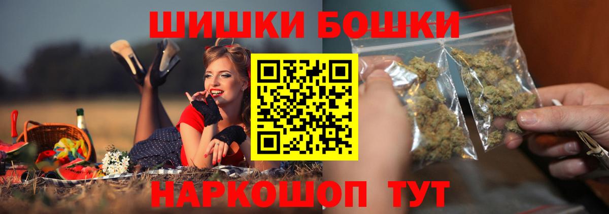 Канабис планчик Аша